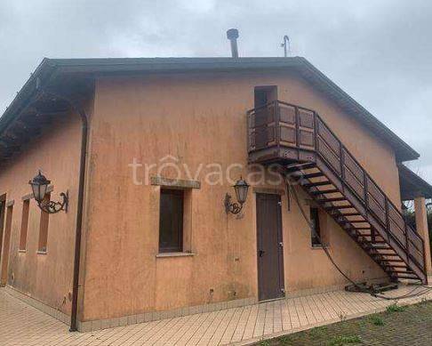 negozio in vendita a Cesena in zona Pioppa