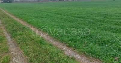 terreno edificabile in vendita a Cesena in zona Diegaro/Capocolle
