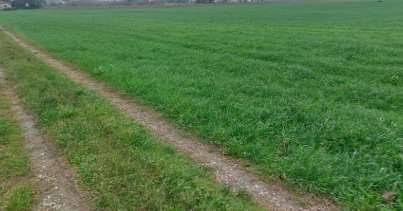 terreno edificabile in vendita a Cesena in zona Settecrociari