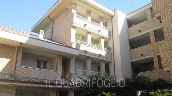 negozio in vendita a Cesena in zona Centro Storico