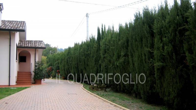 casa indipendente in vendita a Cesena in zona San Carlo