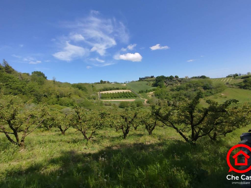 terreno agricolo in vendita a Cesena in zona Saiano