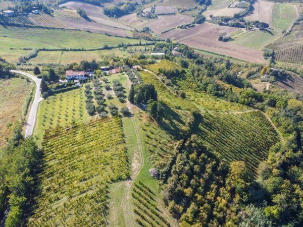 terreno agricolo in vendita a Cesena in zona Carpineta