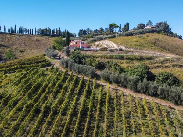 terreno agricolo in vendita a Cesena in zona Carpineta
