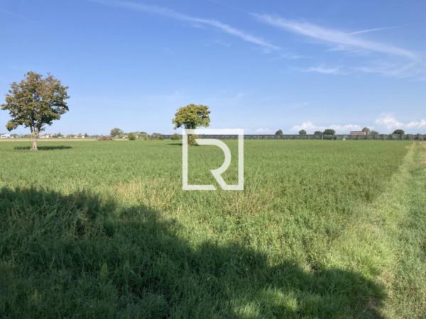 terreno agricolo in vendita a Cesena in zona Bagnile