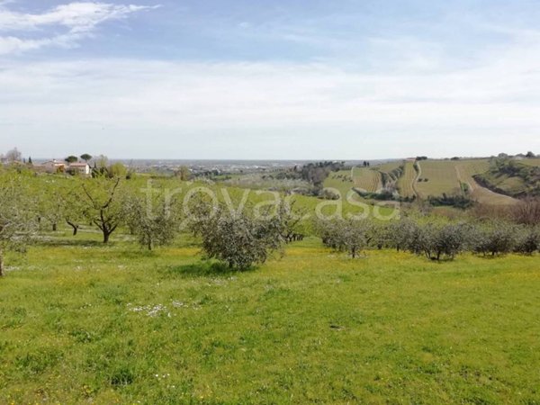 terreno agricolo in vendita a Cesena in zona Saiano