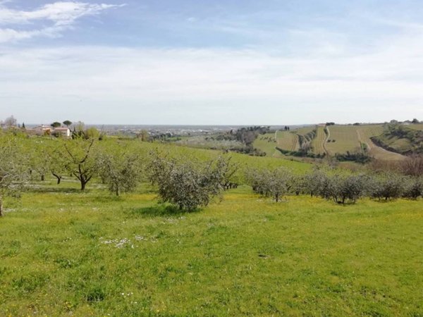 casa indipendente in vendita a Cesena in zona Carpineta