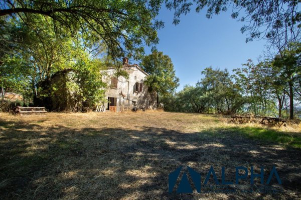 esavano in vendita a Cesena in zona Osteria di Piavola