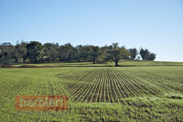 ufficio in vendita a Cesena in zona Bagnile
