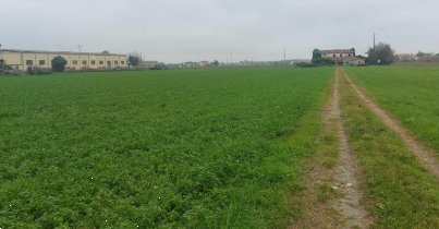 terreno edificabile in vendita a Cesena in zona Torre del Moro