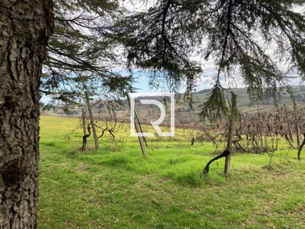 terreno agricolo in vendita a Cesena in zona Carpineta