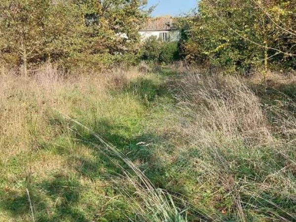 casa indipendente in vendita a Cesena in zona Ponte Pietra