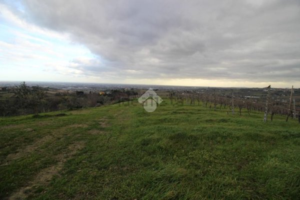 terreno agricolo in vendita a Cesena in zona Carpineta