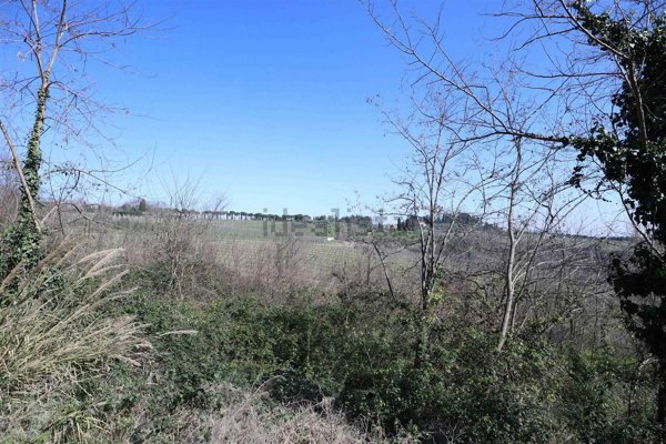 terreno agricolo in vendita a Cesena in zona Carpineta