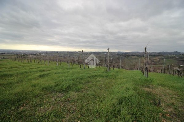 terreno agricolo in vendita a Cesena in zona Carpineta