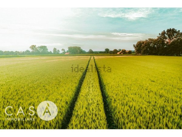 casa indipendente in vendita a Cesena