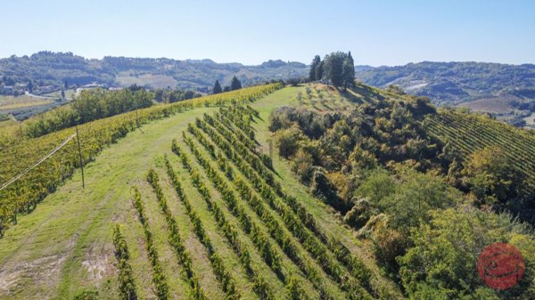 terreno agricolo in vendita a Cesena in zona Carpineta