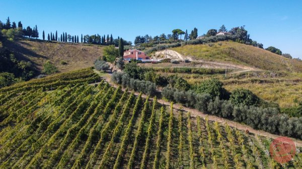 terreno agricolo in vendita a Cesena in zona Carpineta
