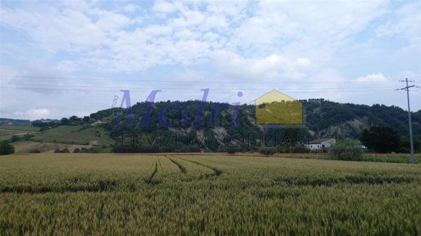 terreno agricolo in vendita a Cesena in zona San Carlo
