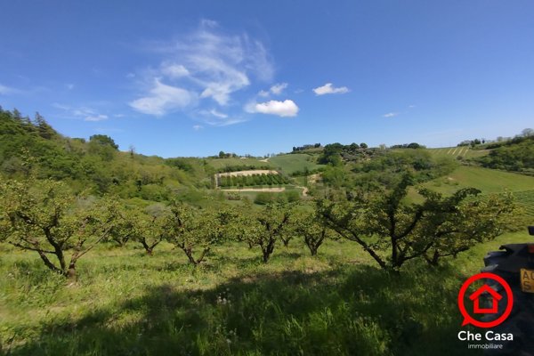 terreno agricolo in vendita a Cesena in zona Saiano