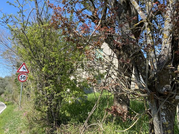 terreno edificabile in vendita a Cesena in zona Formignano
