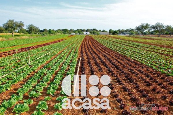 appartamento in vendita a Cesena in zona Diegaro/Capocolle