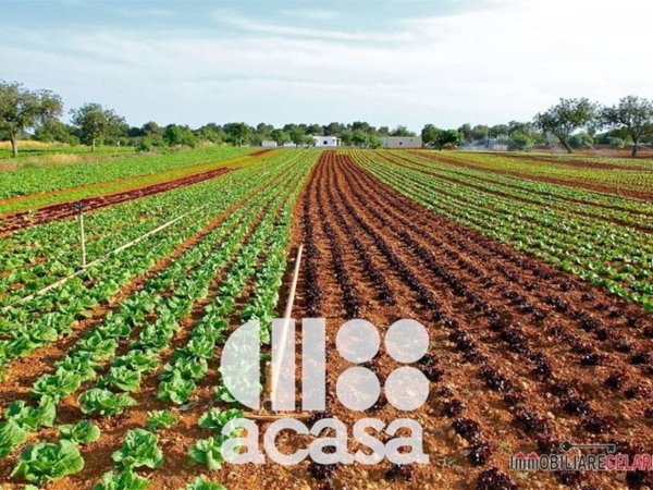 terreno agricolo in vendita a Cesena in zona Diegaro/Capocolle