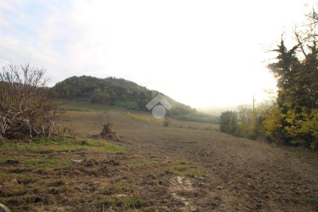 terreno agricolo in vendita a Cesena in zona Roversano