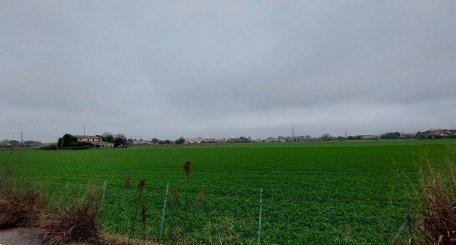 terreno edificabile in vendita a Cesena in zona Torre del Moro