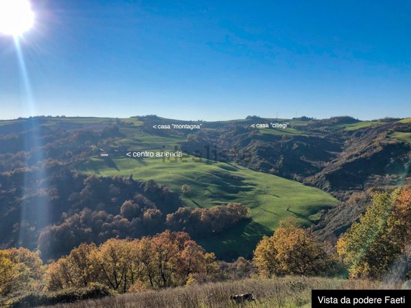 casa indipendente in vendita a Cesena in zona Casalbono