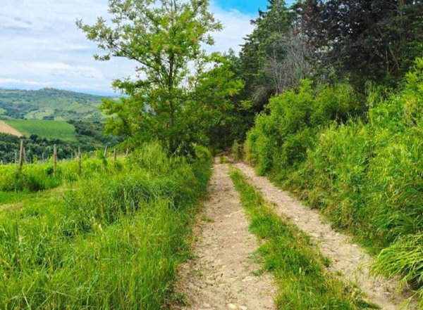appartamento in vendita a Cesena