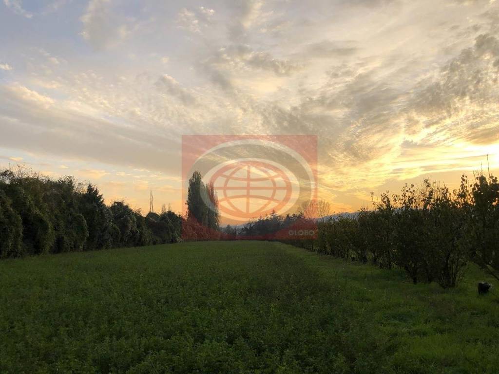 casa indipendente in vendita a Cesena in zona Oltresavio