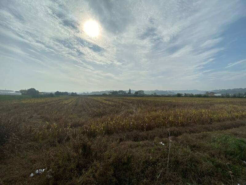terreno agricolo in vendita a Cesena