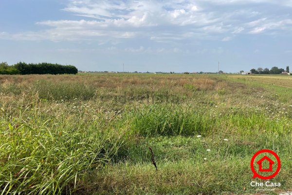 terreno agricolo in vendita a Cesena in zona San Giorgio