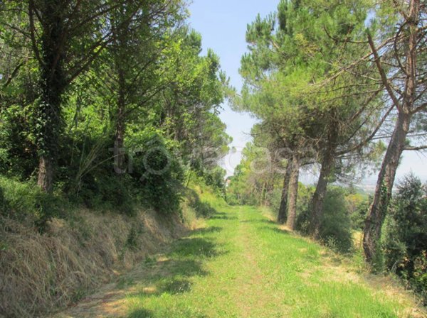 casa indipendente in vendita a Cesena in zona Vigne