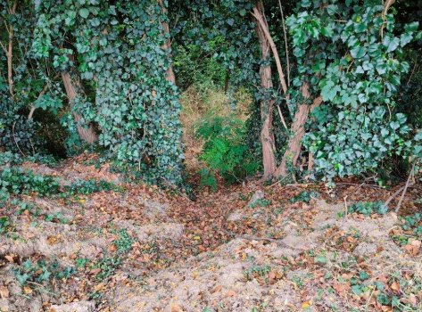 casa indipendente in vendita a Cesena in zona Tessello