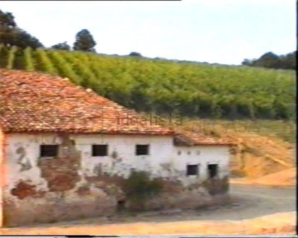 esavano in vendita a Cesena in zona San Vittore