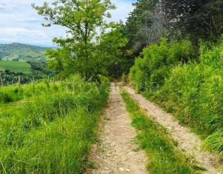 appartamento in vendita a Cesena in zona Tessello