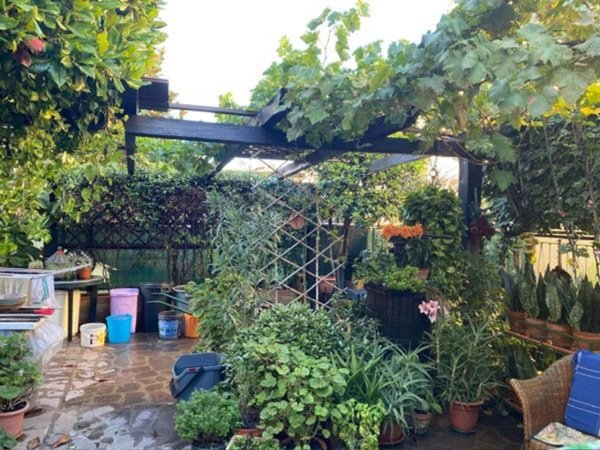 casa indipendente in vendita a Cesena