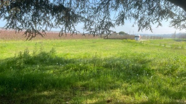 casa indipendente in vendita a Cesena in zona Ponte Pietra