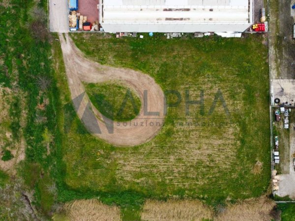 terreno agricolo in vendita a Cesena in zona Marcorano