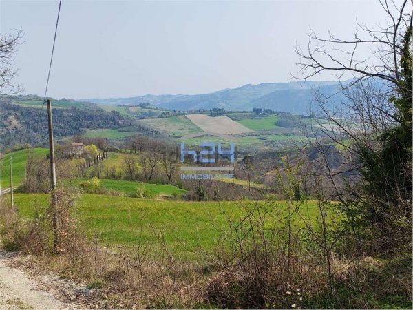 esavano in vendita a Cesena in zona Luzzena