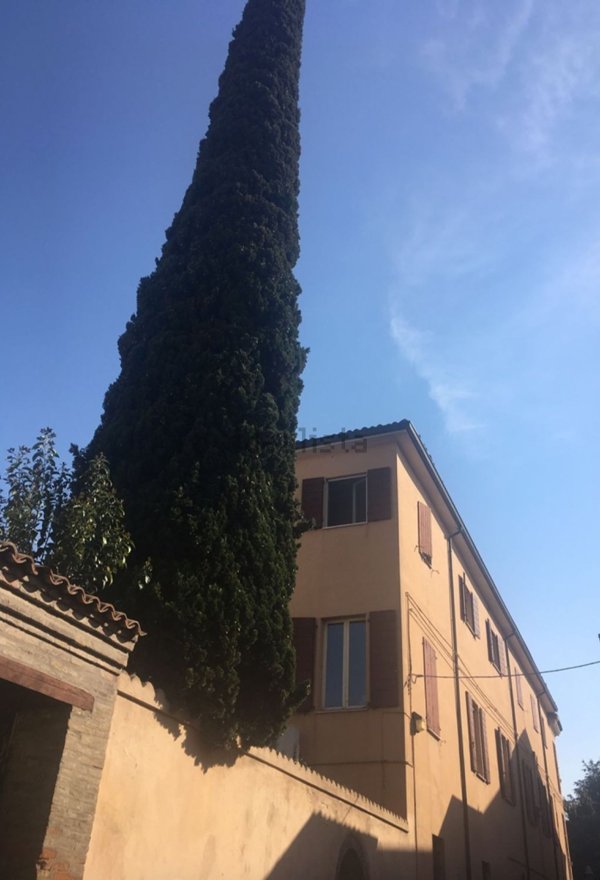 appartamento in vendita a Cesena