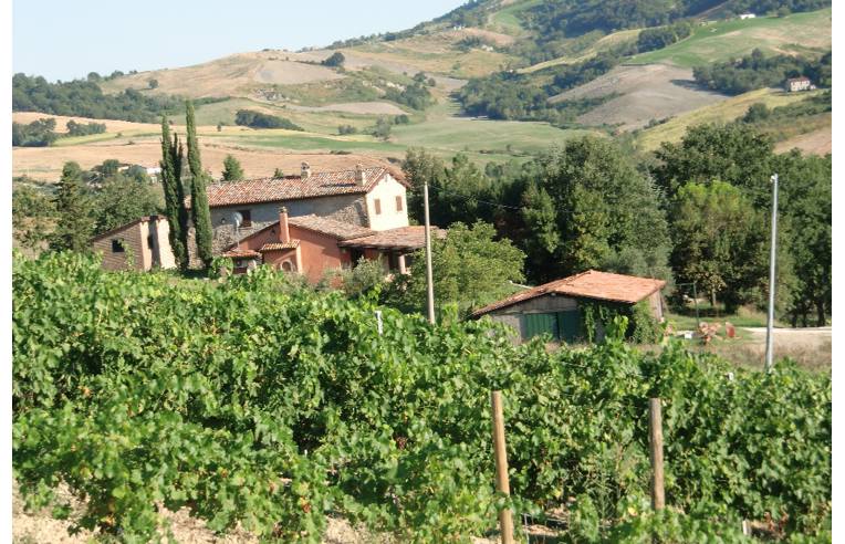 terreno agricolo in vendita a Cesena in zona Tessello