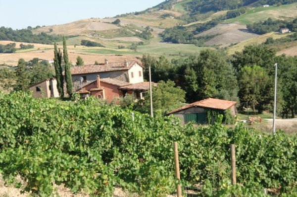 terreno agricolo in vendita a Cesena in zona Tessello