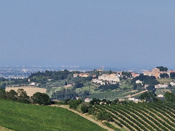 terreno edificabile in vendita a Cesena in zona Madonna dell'Ulivo