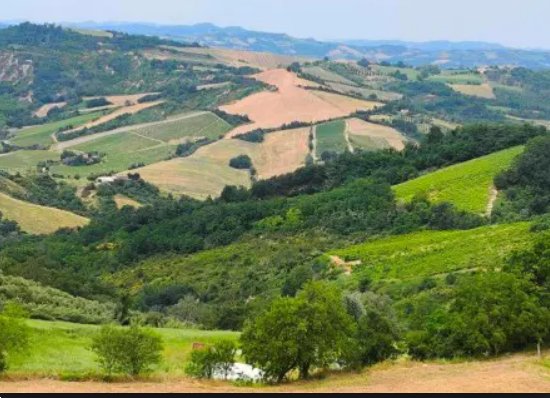 casa indipendente in vendita a Cesena in zona Tessello