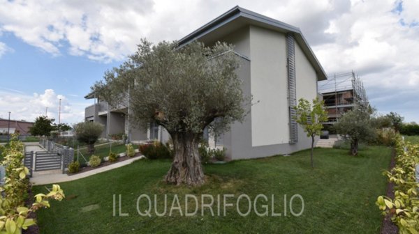 casa indipendente in vendita a Cesena in zona Fiorenzuola