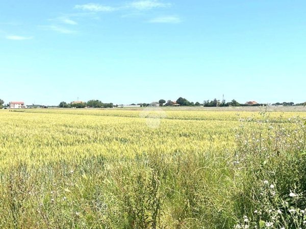terreno agricolo in vendita a Cesena in zona Sant'Egidio