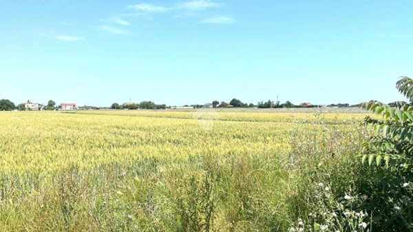 terreno agricolo in vendita a Cesena
